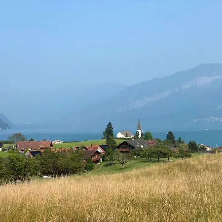 Vintage View With Outdoor Pool Spiez