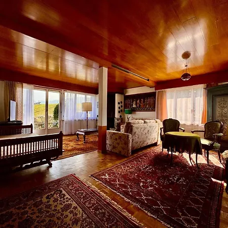 Vintage View With Outdoor Pool 3* Spiez