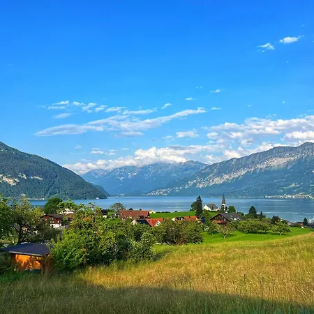 Vintage View With Outdoor Pool 3* Spiez
