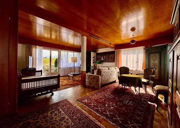 Vintage View With Outdoor Pool 3* שפיץ