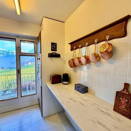 Gæstehus Vintage View With Outdoor Pool Spiez