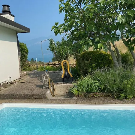 Vintage View With Outdoor Pool Spiez